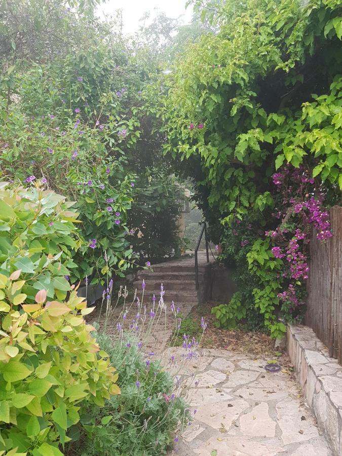 Galilean Villa With Jacuzzi Qiryat Amal 外观 照片